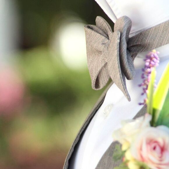 NWT Men's bow tie Silk Self-tied Gift Box Christmas gift Ready to ship S445 - Picture 4 of 7